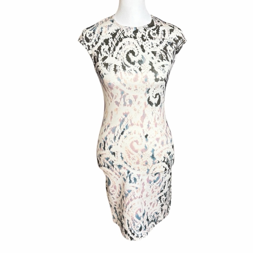 Alexander McQueen Paisley Print Dress
